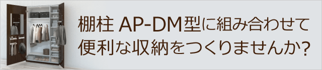I AP-DM^ɑgݍ킹ĕ֗Ȏ[܂񂩁H